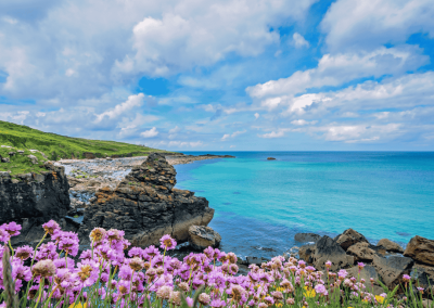 Mer apaisante avec quelques rochers et un soleil rosé, symbolisant l’harmonie, la sérénité et le chemin vers soi à travers la psychothérapie humaniste et les constellations familiales. question. Particulier et entreprise